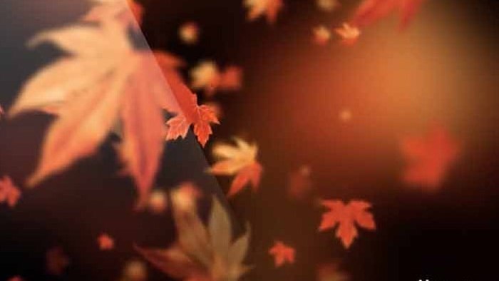 秋天秋叶掉落动态背景led视频素材