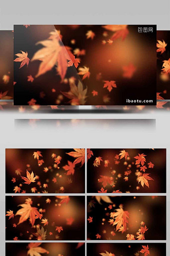 秋天秋叶掉落动态背景led视频素材图片