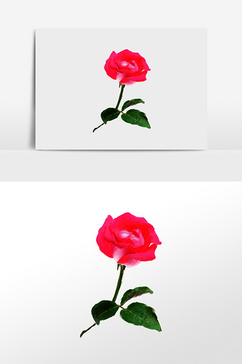 手绘清新水彩玫瑰花素材图片