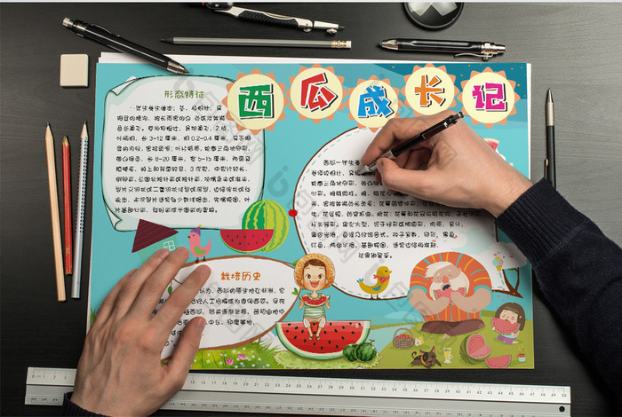 西瓜成长记暑假小报手抄报word模板