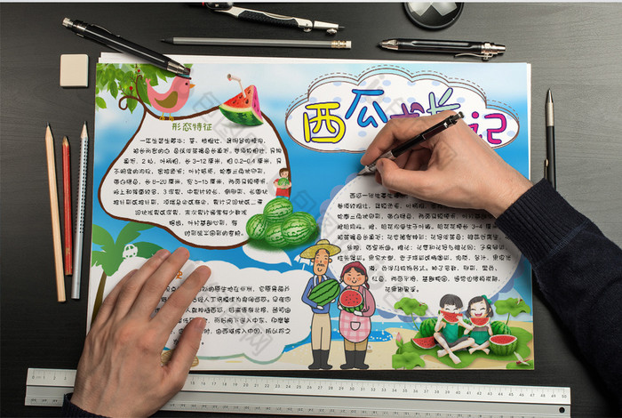 西瓜成长记小报手抄报word模板