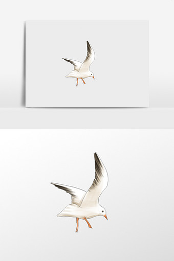 找食的海鸥插画元素图片