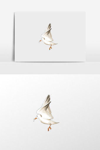 叼虫子的海鸥插画元素图片