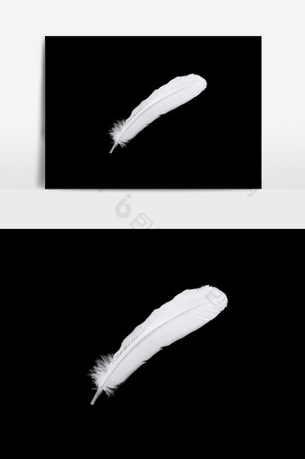 一根白色羽毛图案元素图片