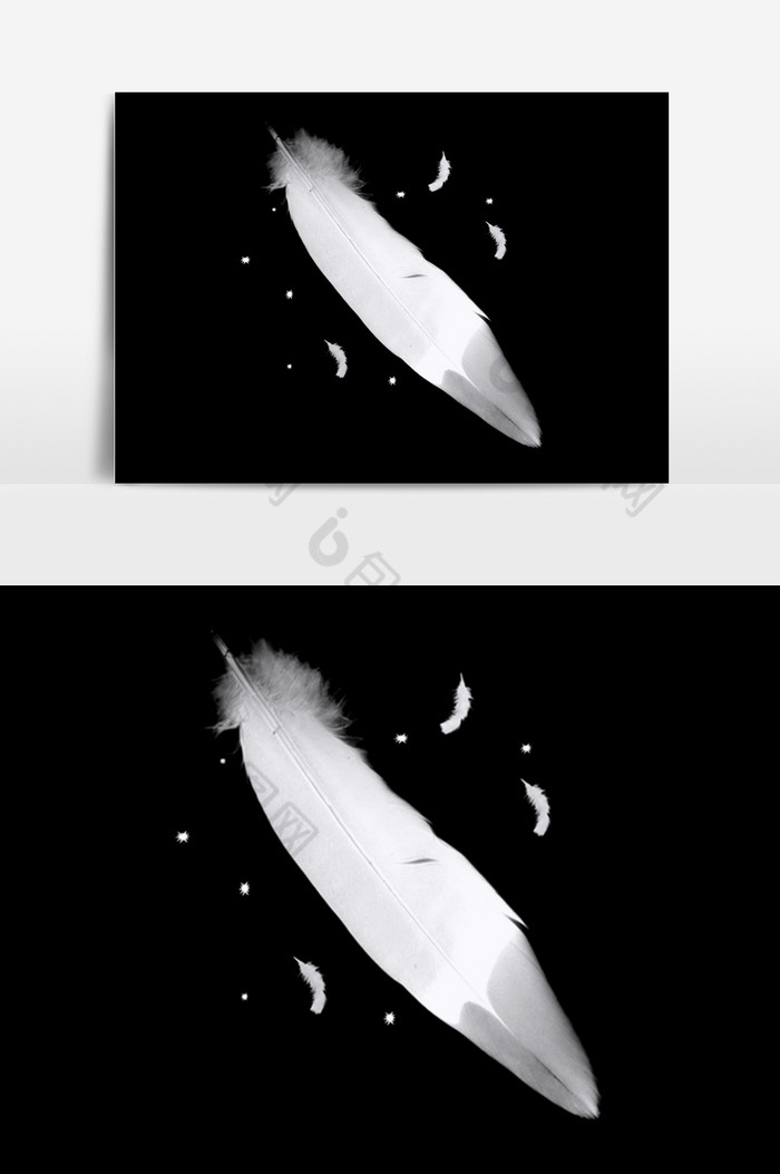 元素白色羽毛图案图片