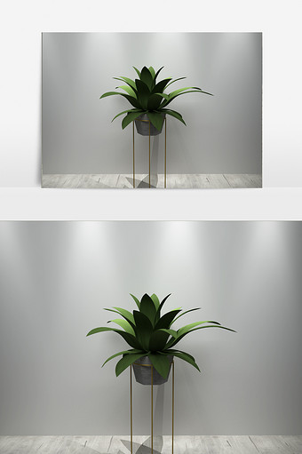 室内绿色装饰植物3D模型图片