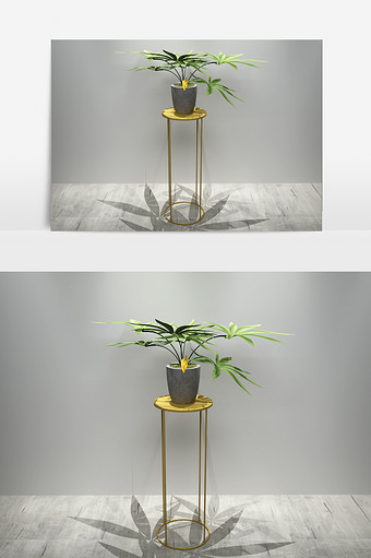 绿化装饰植物盆栽3D模型图片