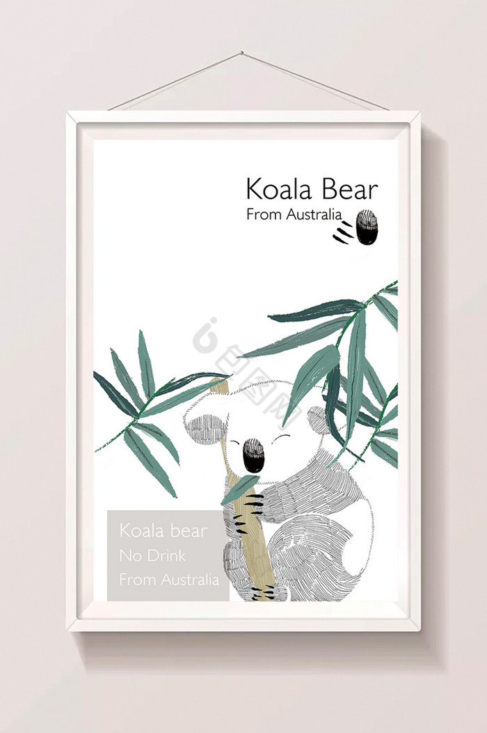 本子封面画册封面澳洲考拉考拉插画图片