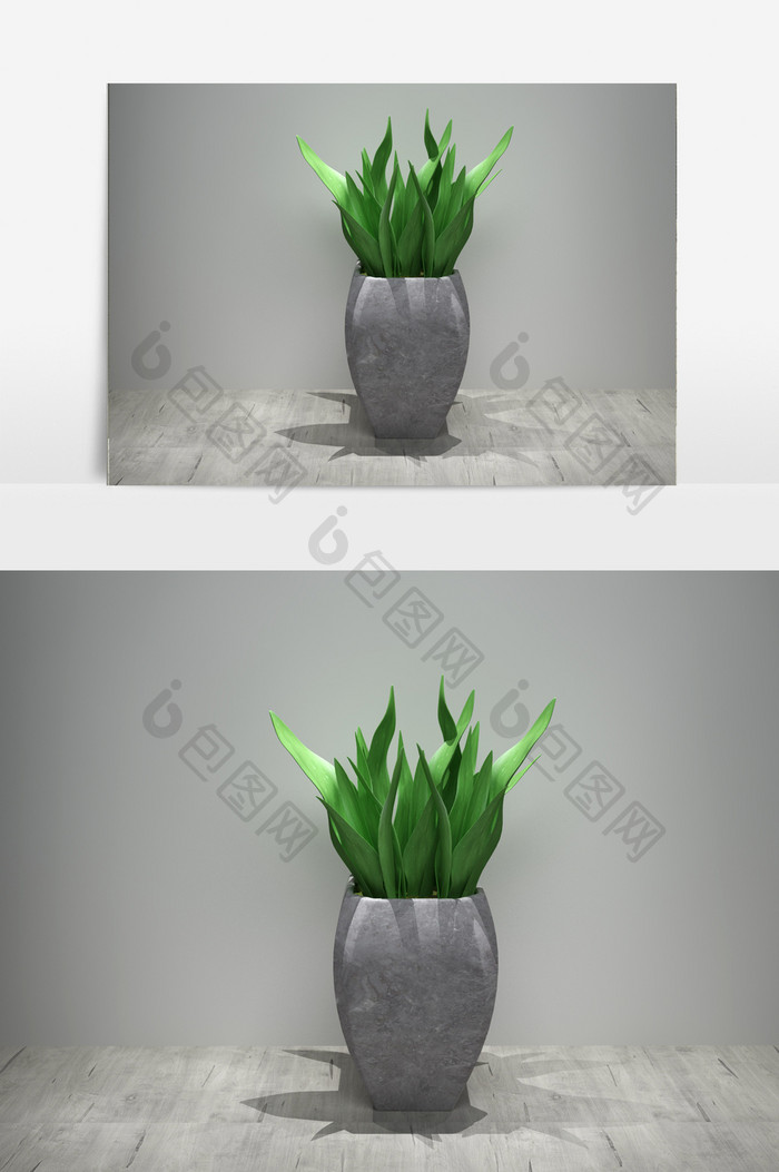 室内装饰花草植物3D模型