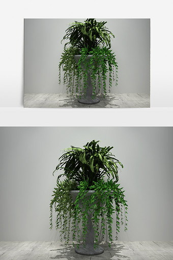 装饰植物景观3D模型图片