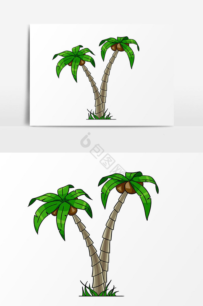 两颗椰子树旅游图片