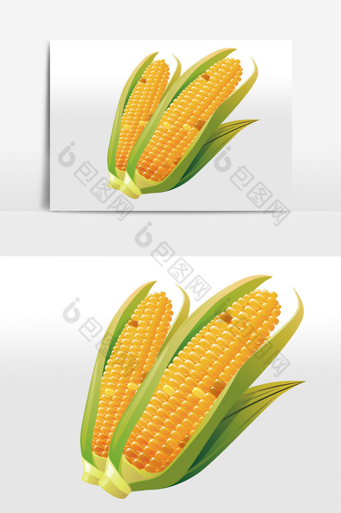 秋天金色玉米图片图片