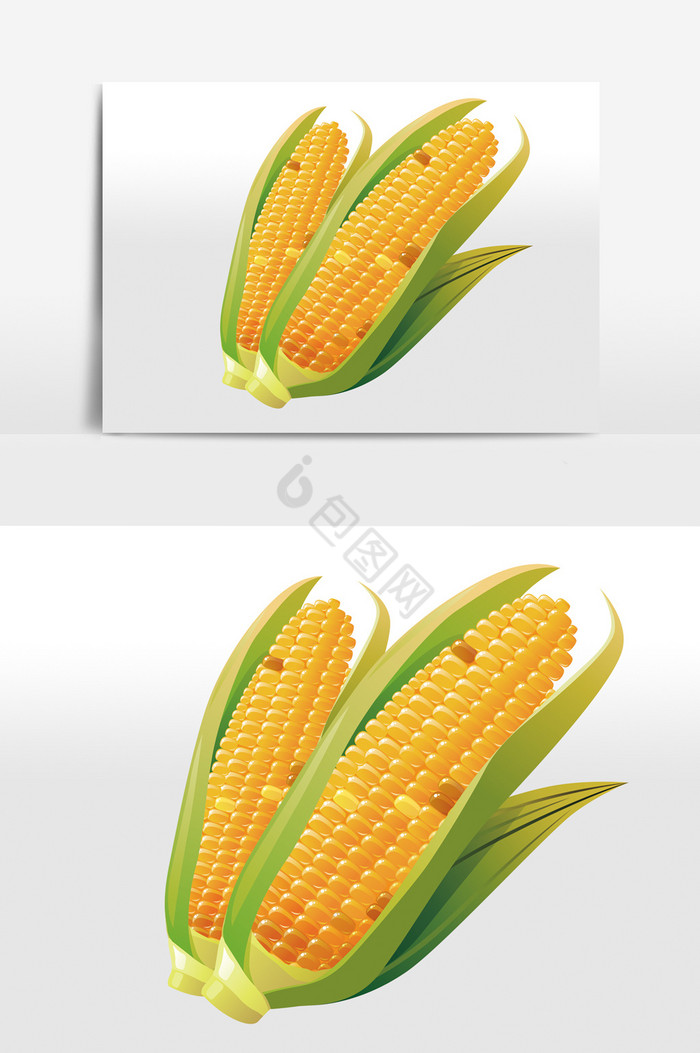 秋天金色玉米图片
