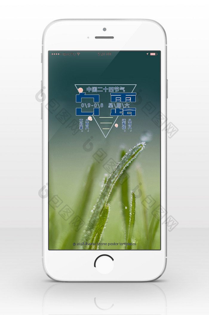 唯美清新白露手机配图背景图