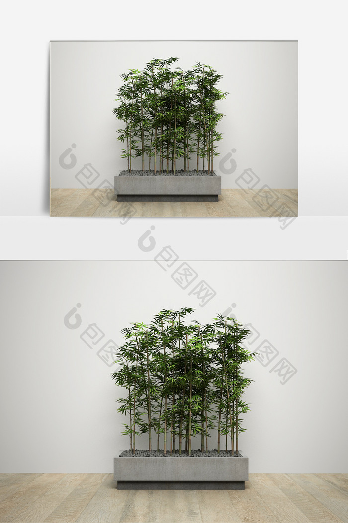 观赏竹子植物模型