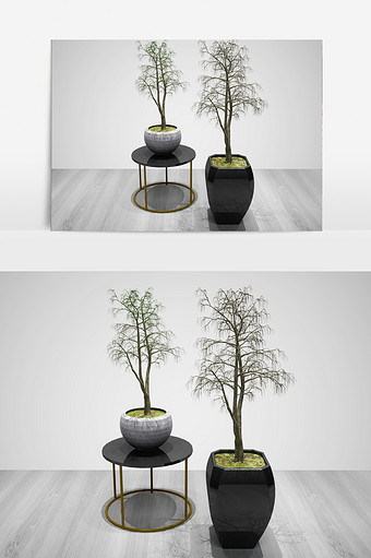室内干枝装饰植物3D模型图片