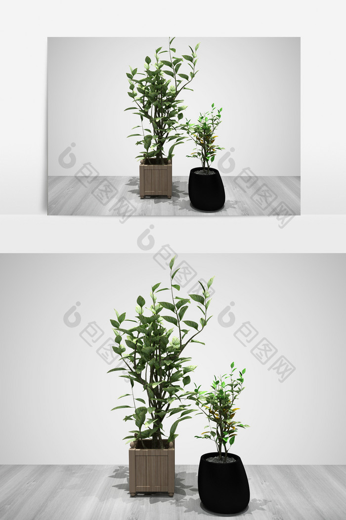 室内装饰花卉绿化植物景观3D模型
