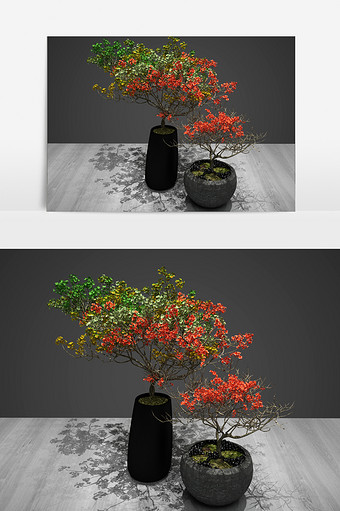 绿化装饰景观植物3D模型图片