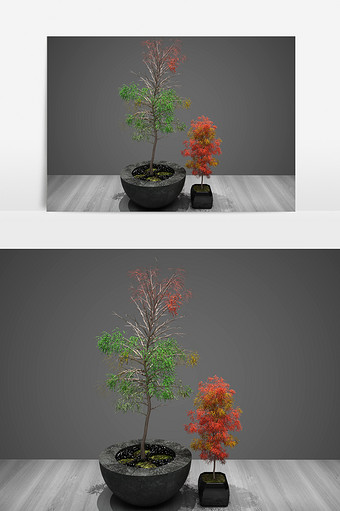 绿化装饰植物景观3D模型图片