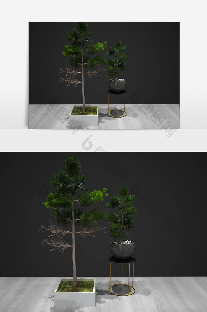 盆栽装饰植物3D模型