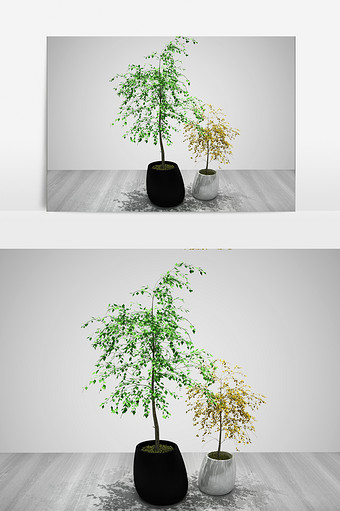 装饰植物3D景观模型图片