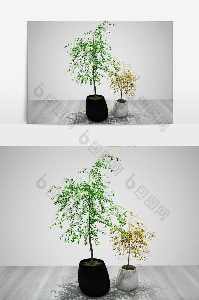 装饰植物3D景观模型