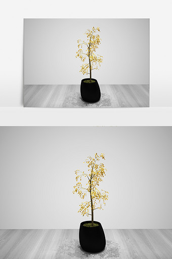 装饰绿化植物景观3D模型图片