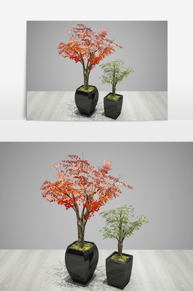 绿化景观装饰植物3D模型