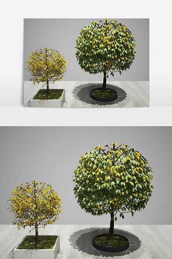 绿化植物景观园艺装饰3D模型图片