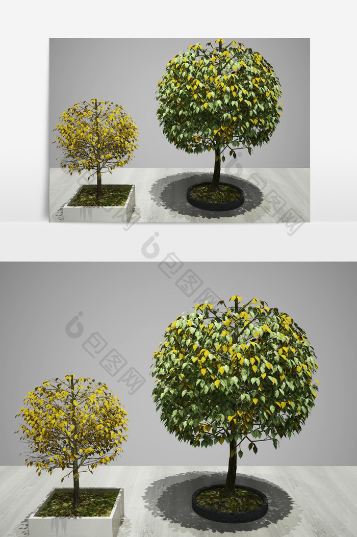 绿化植物景观园艺装饰3D模型