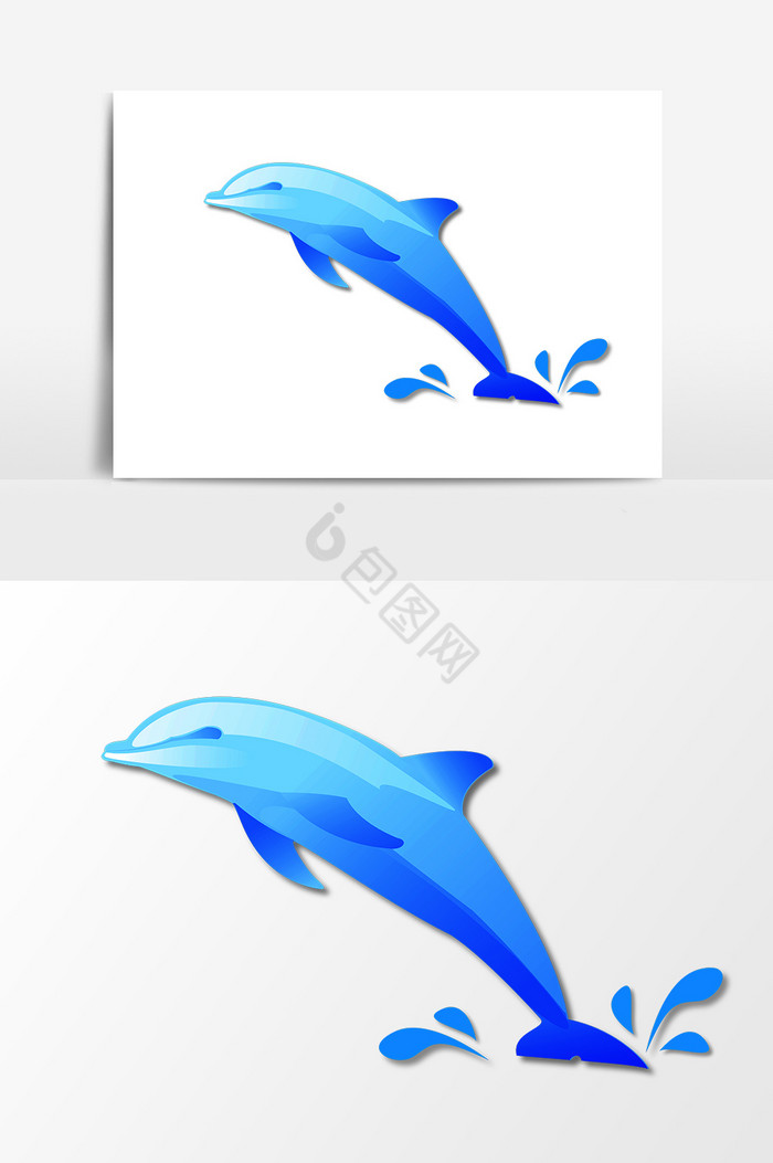 海豚插画图片