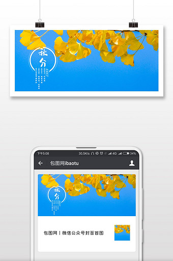 金色树叶秋分传统节日微信首图图片