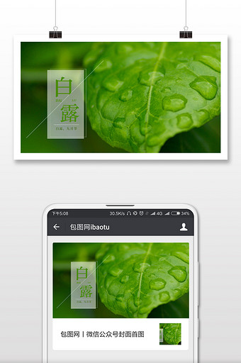 绿色简约白露节气微信配图图片
