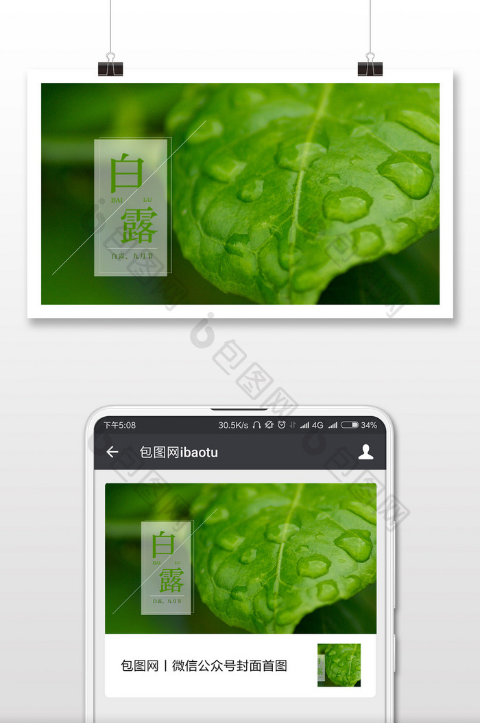 绿色简约白露节气微信配图