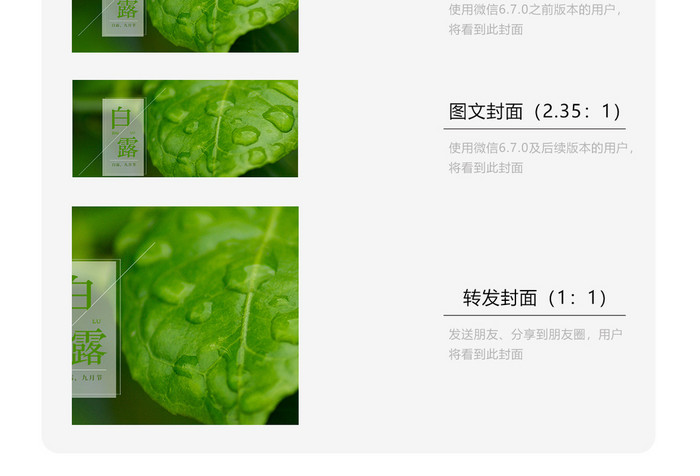 绿色简约白露节气微信配图