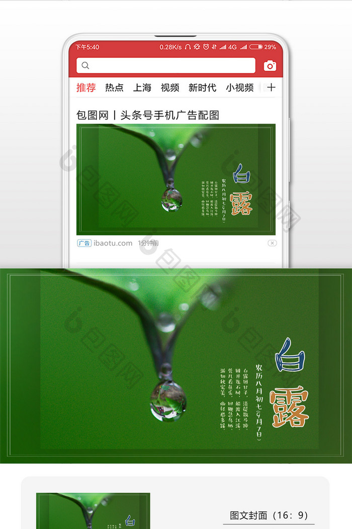 绿色水滴白露节气微信配图背景图