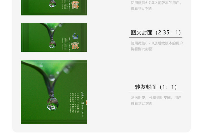 绿色水滴白露节气微信配图背景图