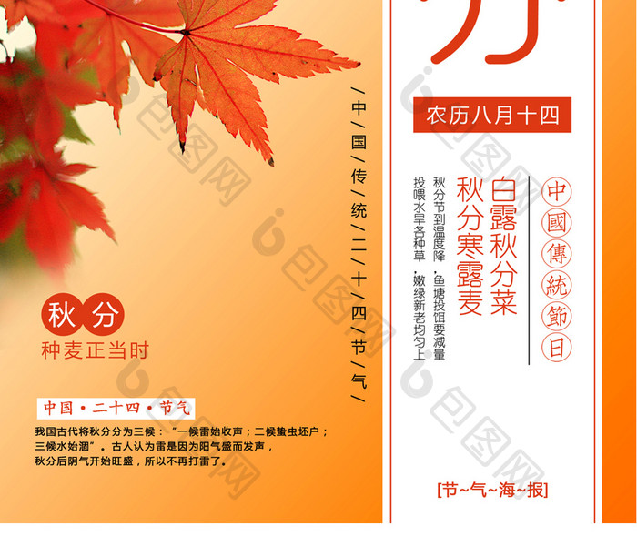 中国风传统二十四节气之秋分宣传海报