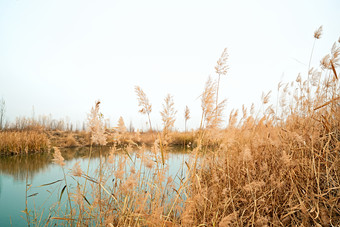 <strong>深秋</strong>初冬的荒野秋瑟湖边风景