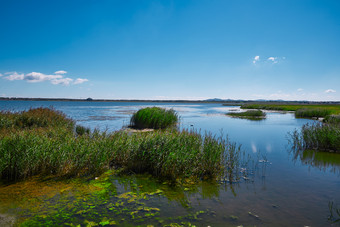 中国河北省张家口沽源县库伦淖湖畔<strong>湿地</strong>