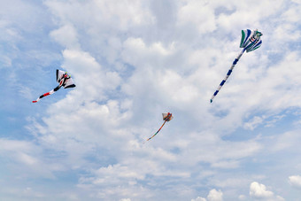 在坝上草原举行的国际风筝大型赛事
