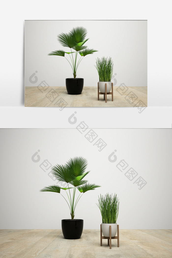 现代景观植物模型效果