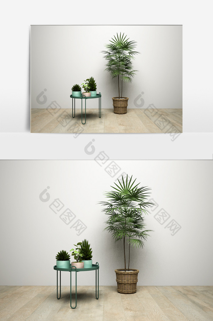 树办公植物室内植物图片