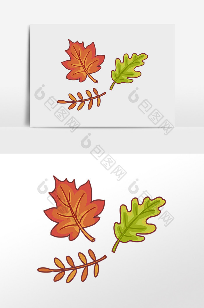 手绘秋季各种落叶插画元素