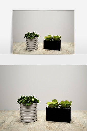 绿色装饰植物模型图片