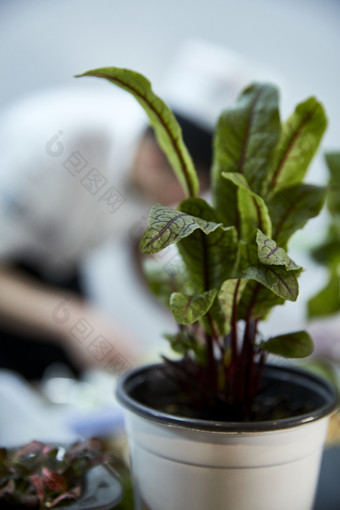 卫生间智能洁具马桶淋浴喷头水龙头