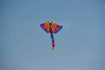 坝上草原风筝节上天空飞舞的风筝