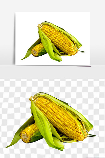 新鲜的农家玉米元素图片