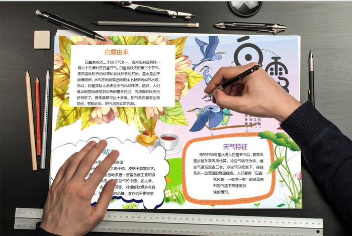 卡通白露节气小报手抄报word模板