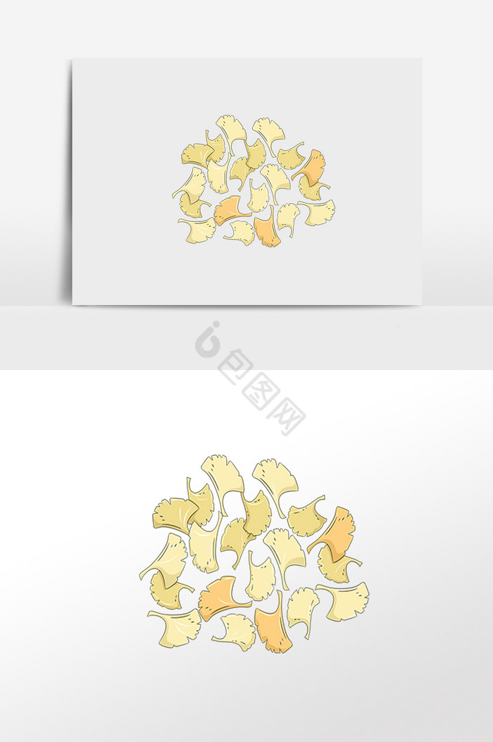 植物银杏花插画图片